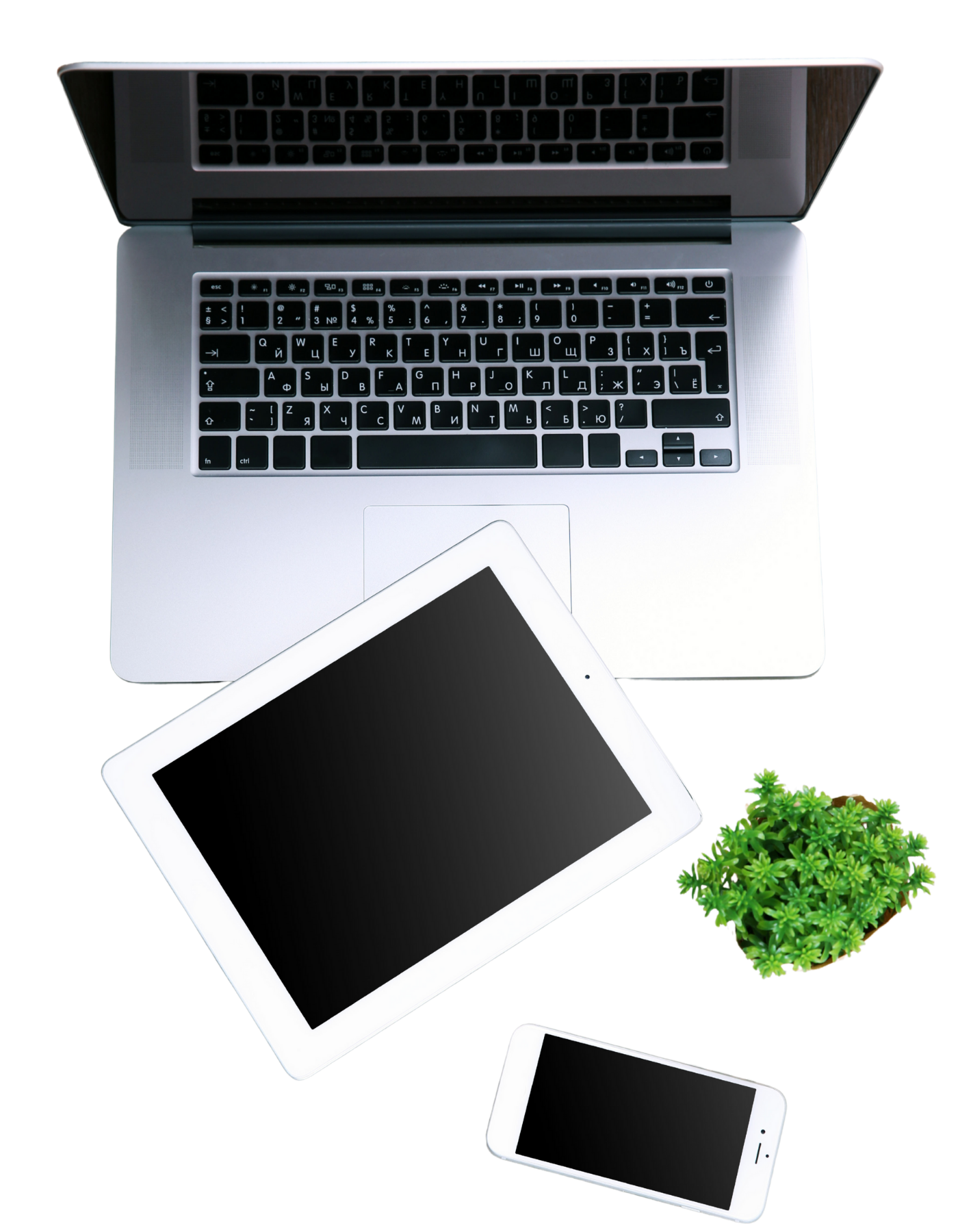 custom web design solutions